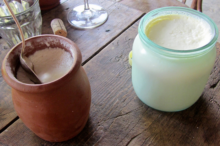 Georgian matsoni cultured milk in a glass jar and clay pot
