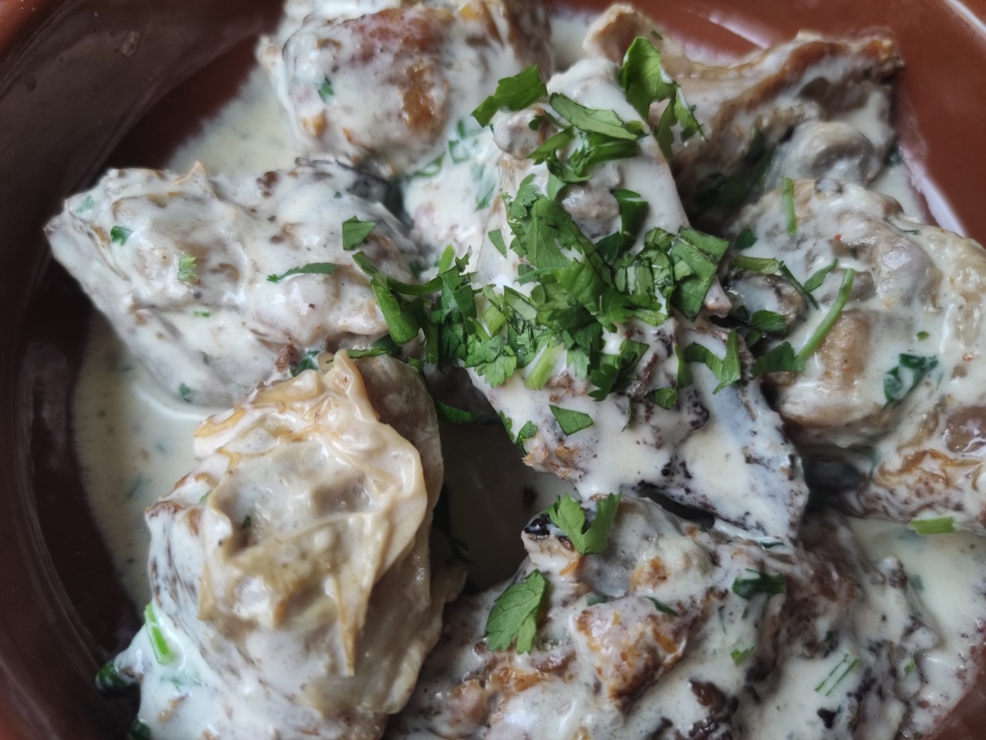 Pieces of chicken in a pale garlic sauce with chopped herbs