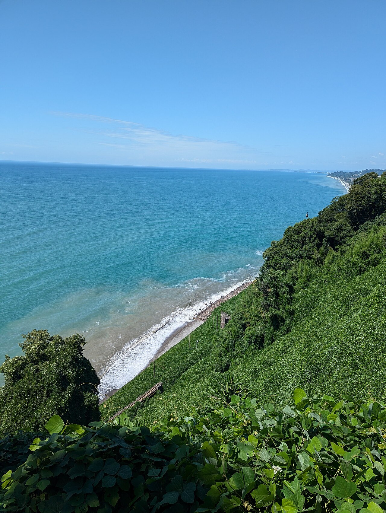 Black Sea coastline seen from the green hillside of Batumi Botanical Garden