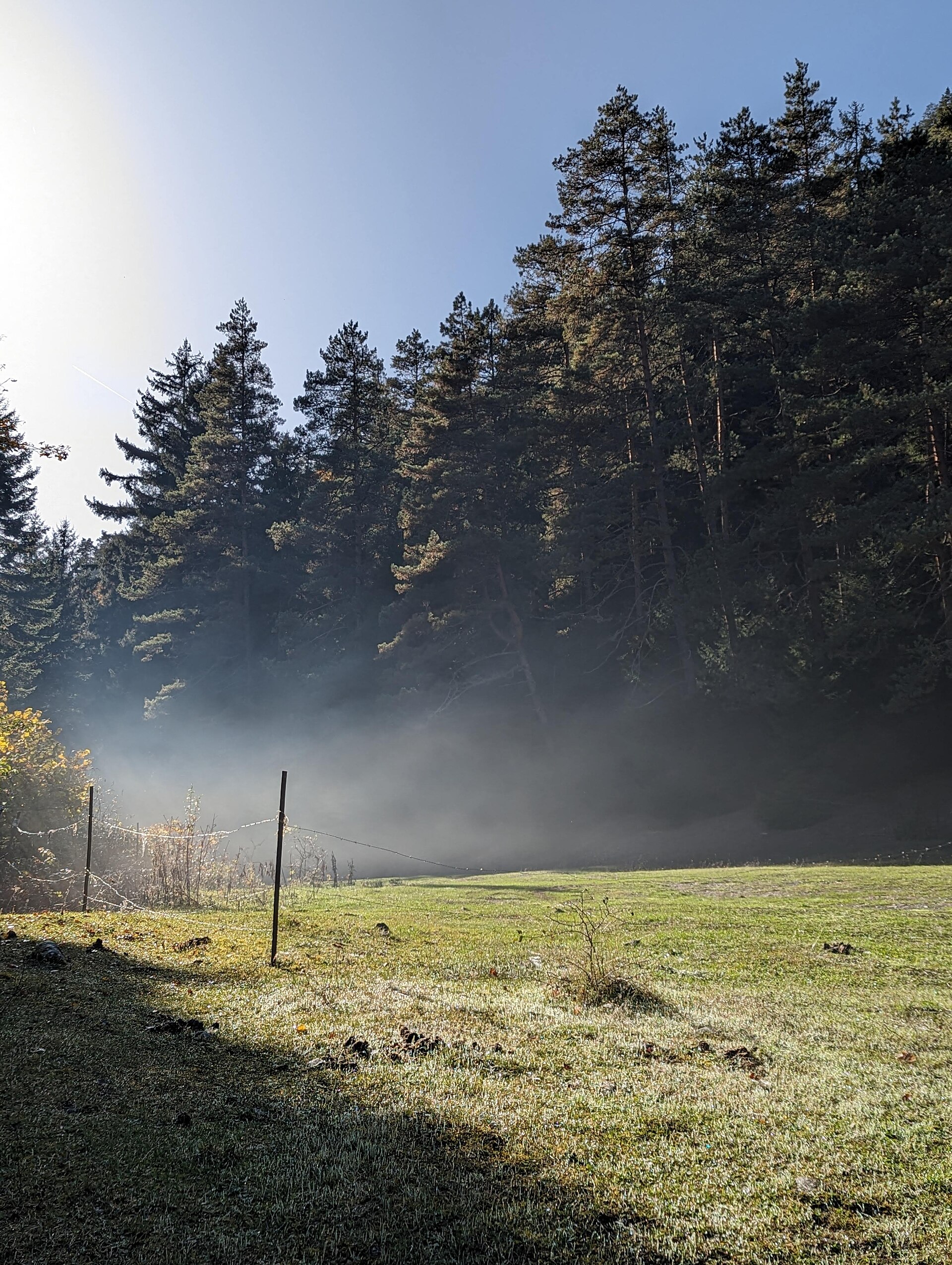 Morning mist at a forest clearing near the Likani entrance to the national park