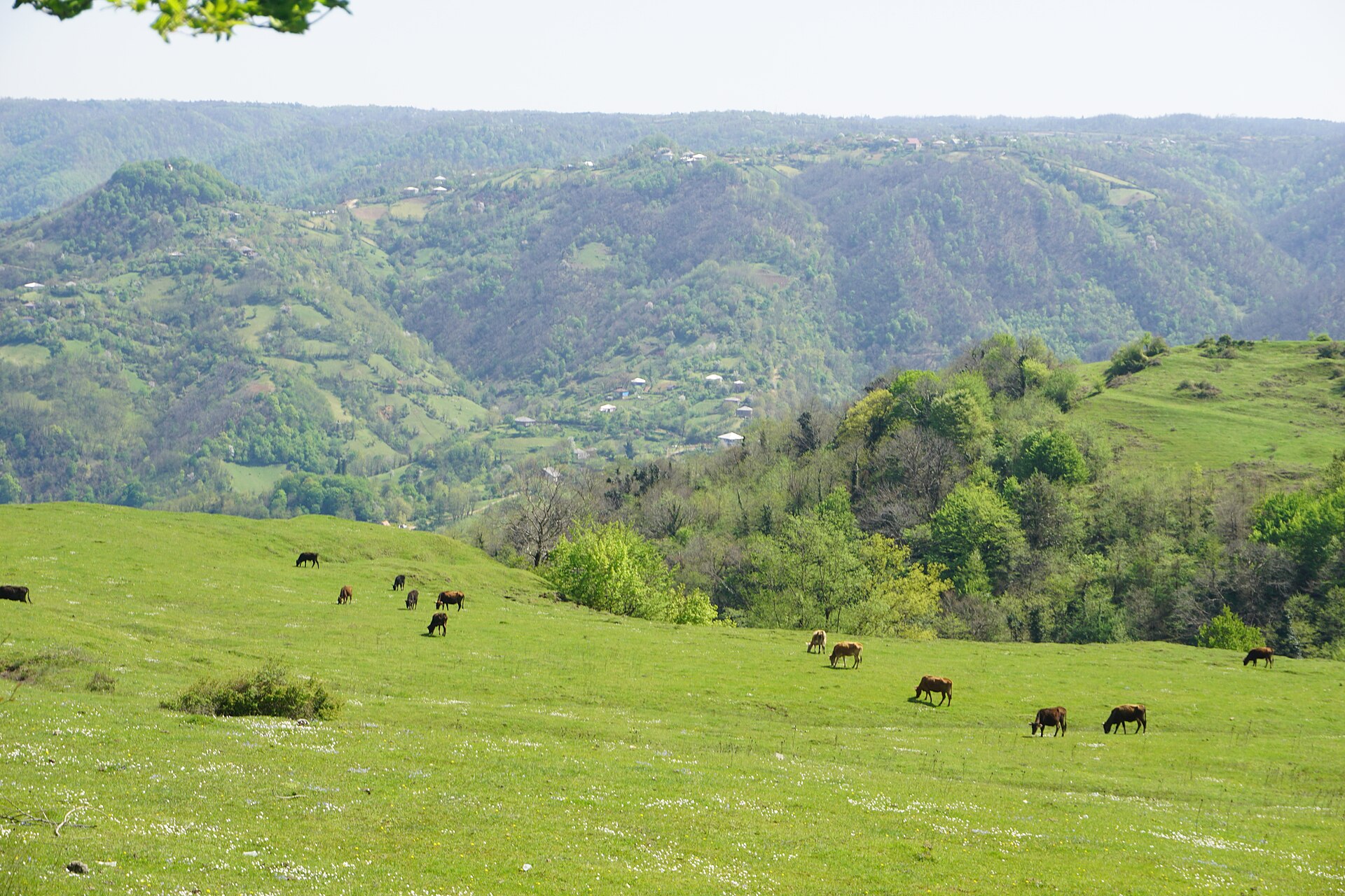 Katskhi, Chiatura municipality, Georgia 03