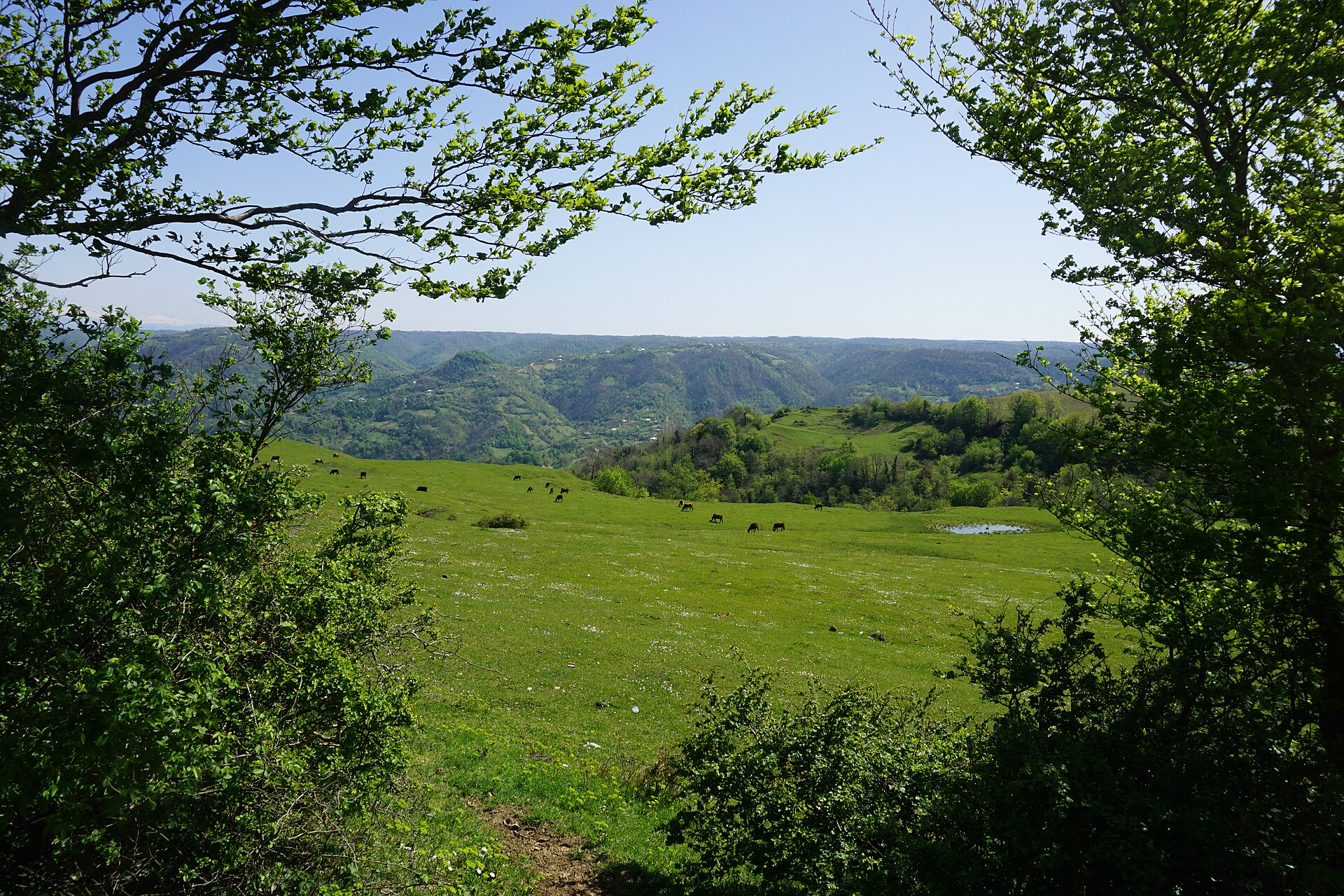 Katskhi, Chiatura municipality, Georgia 02