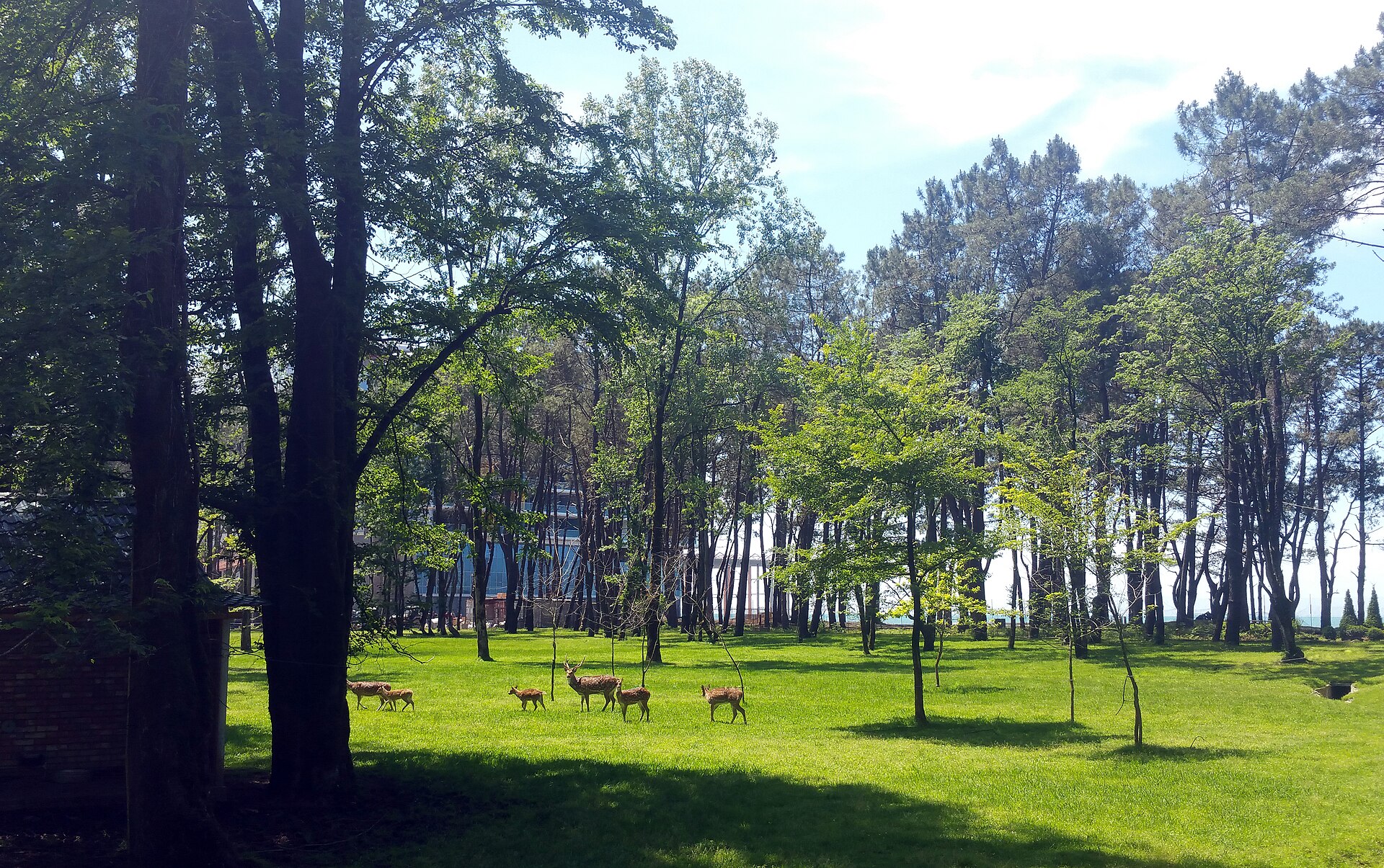 Shekvetili Park