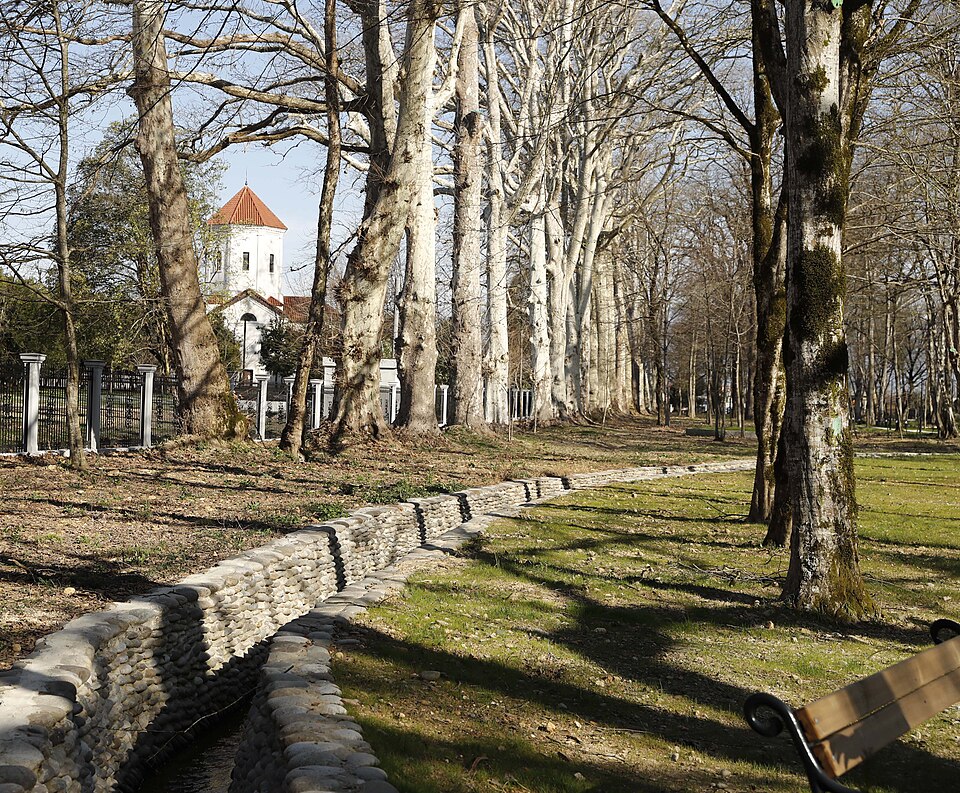 Mature trees and a path in Zugdidi Botanical Garden