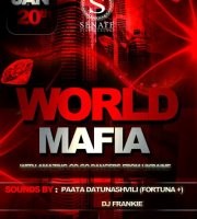 World_Mafia_Senate_Tbilisi