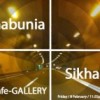 gabunia_sikha_gallery_tbilisi