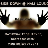 upside_down_nali_lounge_tbilisi