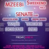 sweekend_vol2_senate_tbilisi